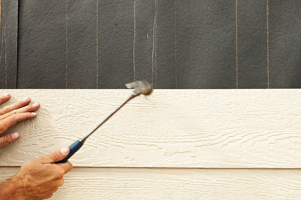 Affordable Siding Repair and Maintenance Services in Panaca, NV